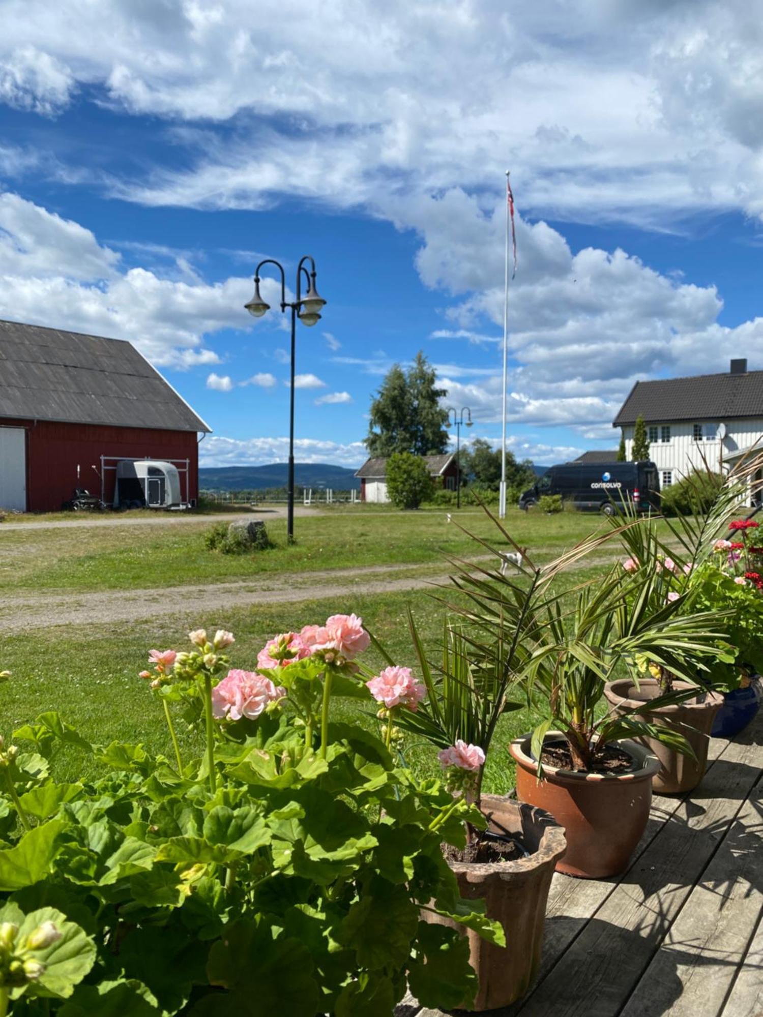 Sundby Fjordhestgard Gardermoen Exterior foto