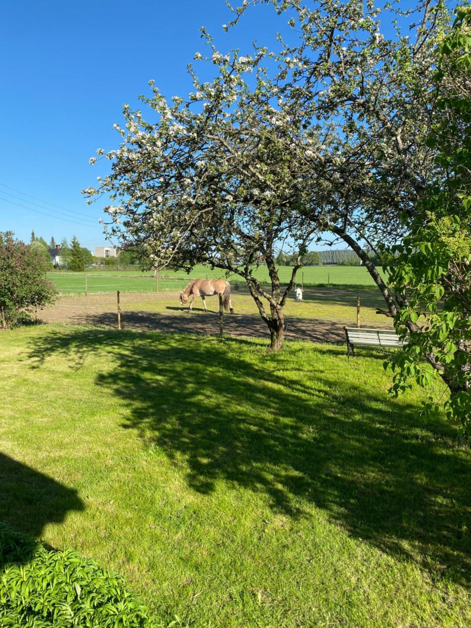 Sundby Fjordhestgard Gardermoen Exterior foto